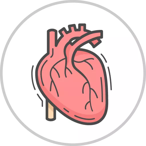 Cardiac