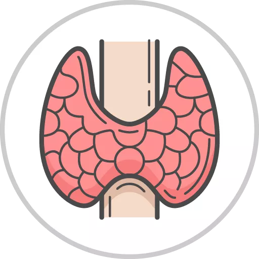 Endocrine (Child Health)