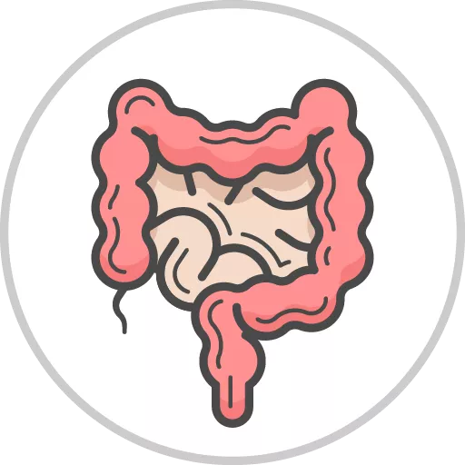 GI - Gastrointestinal (patho)