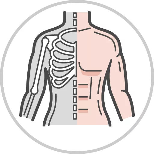 Musculoskeletal (Adult Health)