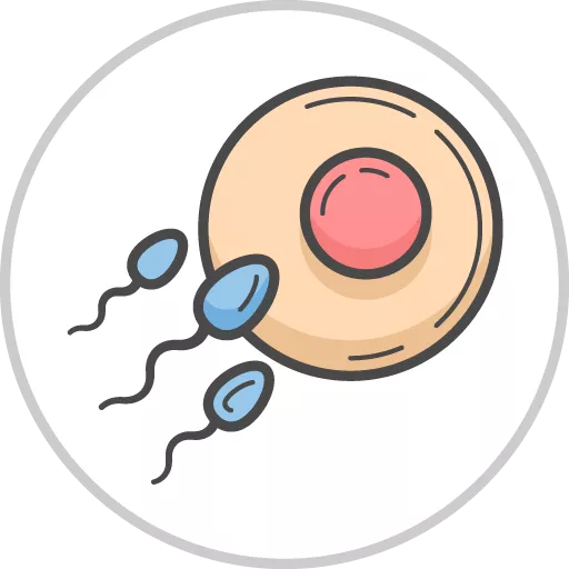 Reproductive (Adult Health)