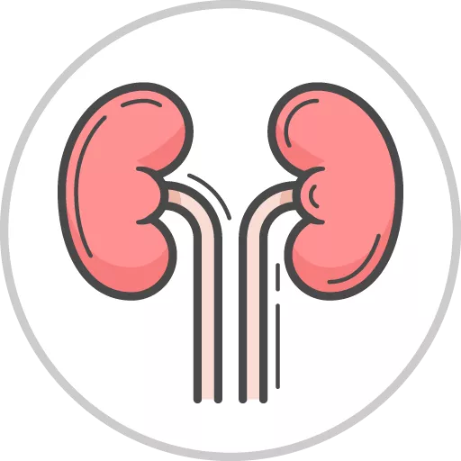 Urinary